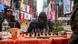 Tunde Onakoya pictured playing a game of chess during his record attempt
