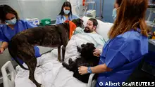 ब्लड क्लॉट के कारण कई दिन से अस्पताल में भर्ती बुएनो से वीडा और लू नाम के कुत्तों ने खूब लाड किया और उन्हें अपने कुत्ते की याद आ गई.
