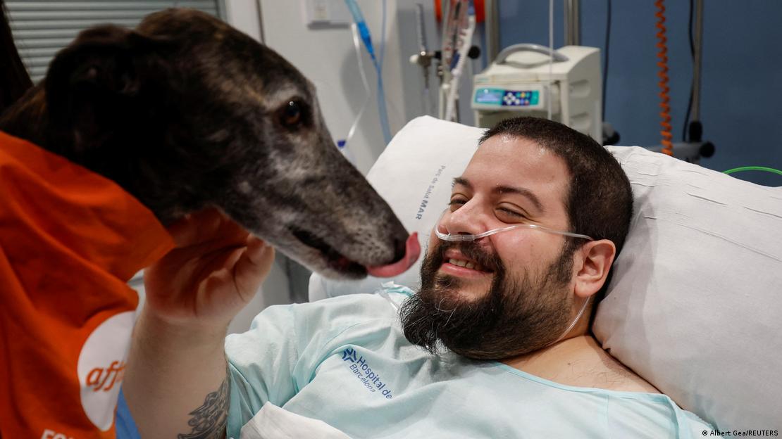 Yoğun bakım ünitesinde tedavi gören hastaların rahatlaması ve hayata tutunması amacıyla faydalanılan "terapi köpeği"