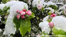 به روایت تصویر: بازگشت زمستان در بهار آلمان