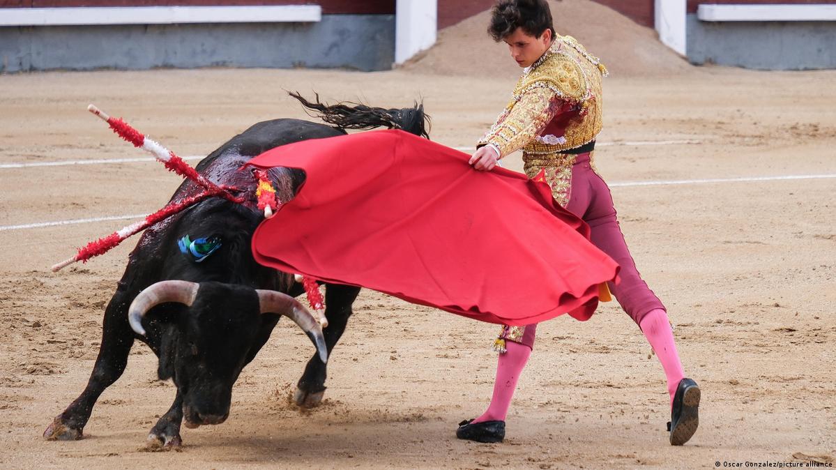 Should the use of animals in sports be banned? – DW – 04/29/2024