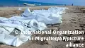 Dozens dead, missing after migrant boat sinks off Djibouti