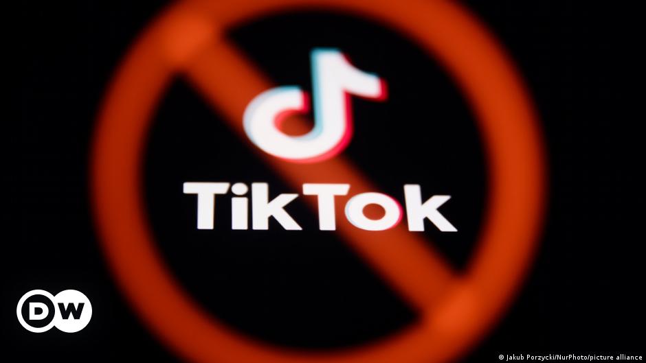 Which countries have banned TikTok?