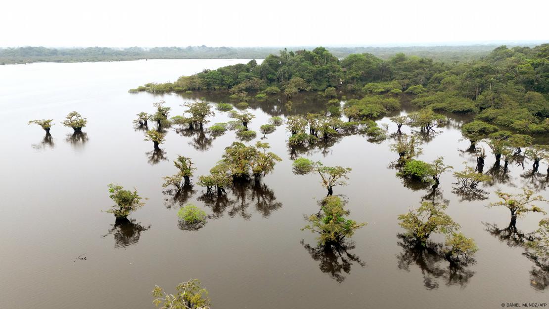 Vista aérea de la Laguna Grande en la selva amazónica protegida de Cuyabeno, Ecuador, tomada el 26 de marzo de 2024. Vista aérea de la Laguna Grande en la selva amazónica protegida de Cuyabeno, Ecuador, tomada el 26 de marzo de 2024.