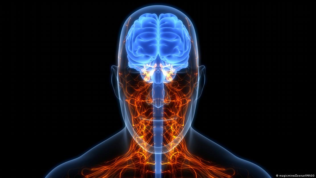 "Estructuras cerebrales más grandes podrían significar un cerebro más sano y una mejor defensa contra enfermedades neurodegenerativas", comentó el autor principal del estudio. 
