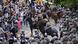USA | Nahostkonflikt Proteste an Universitäten USA | Nahostkonflikt Proteste an Universitäten