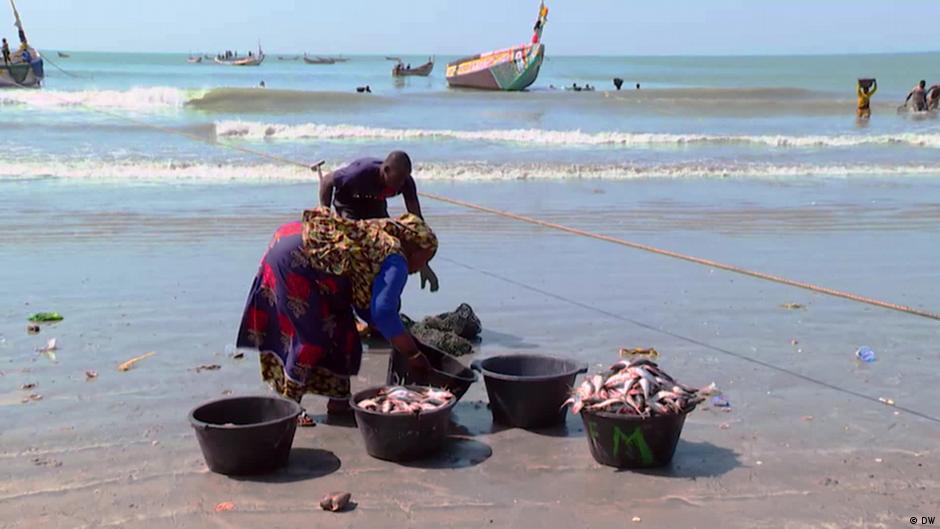 Overfishing and Pollution: Threats to Gambia's Blue Economy – DW – 04/26/2024 - Vimarsana News