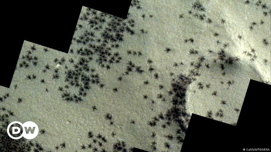 ESA-Orbiter findet „Spinnenspuren“ auf dem Mars – DW – 25.04.2024