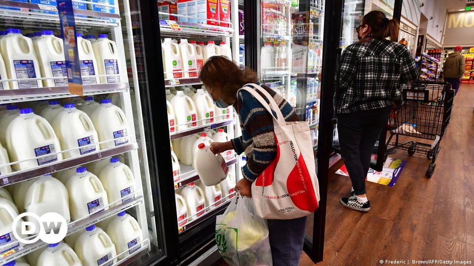 US FDA says pasteurized milk safe as bird flu spread in cows