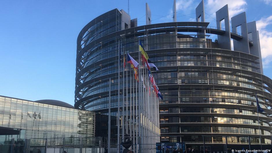 Депутаты Европейского парламента призвали вернуть запрет на импорт российского соболиного меха в Евросоюз. Он был отменен в апреле 2026 года
