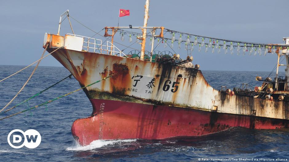 اتهامات "خطيرة" ضد أساطيل الصيد الصينية قبالة شرق أفريقيا
