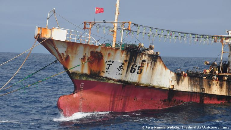 Chinese fishing fleets in Indian Ocean accused of abuses – DW – 05/04/2024