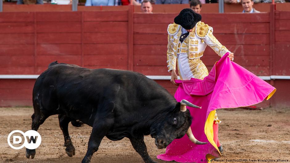 Spain set to scrap top bullfighting prize