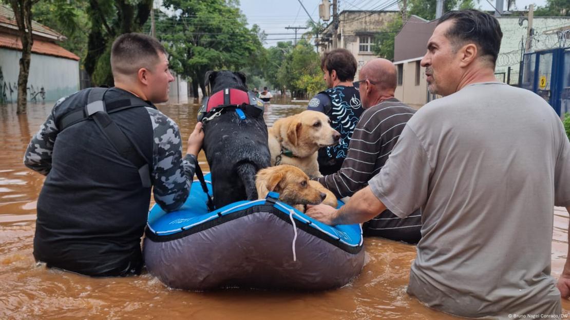 Voluntários resgatam animais em Porto Alegre