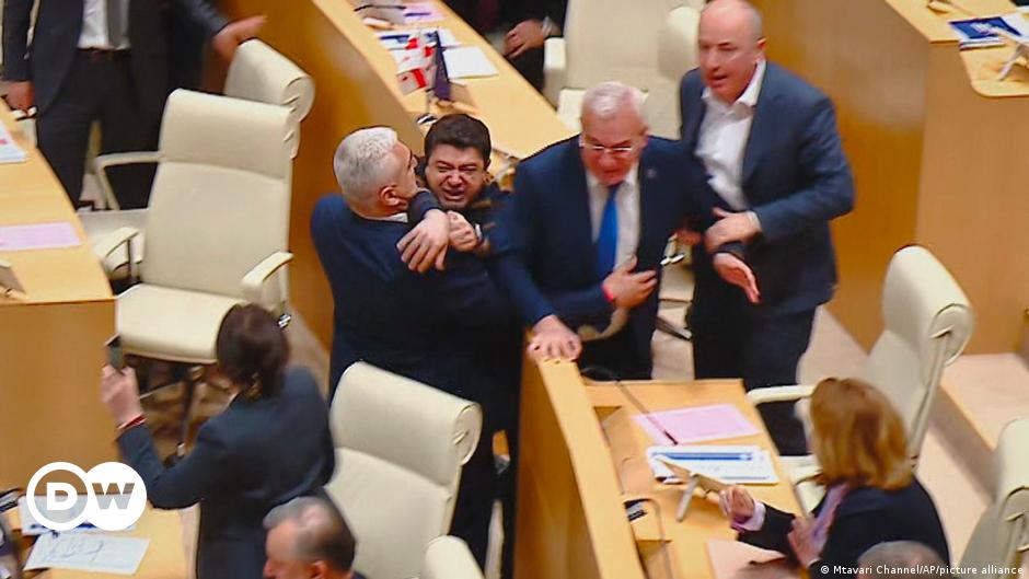Georgia parliament passes divisive 'foreign influence' bill