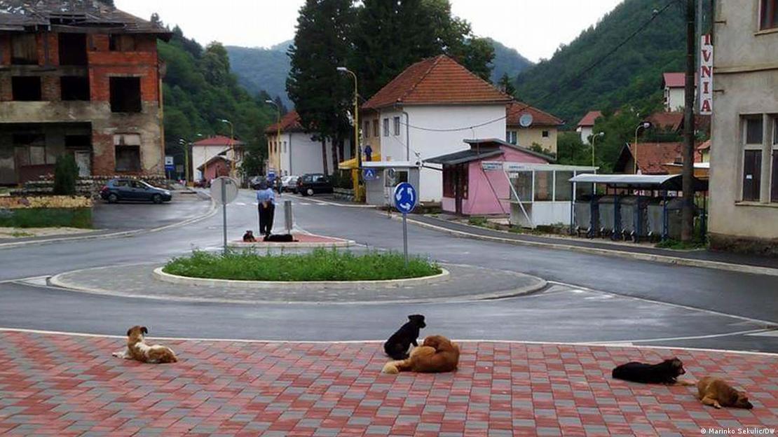Një shesh i zbrazur në Srebrenicë, ku në trotuar ndodhen disa qen. Popullsia është ulur me dy të tretat në krahasim me periudhën e paraluftës