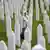 Srebrenitsa Soykırımı'nda hayatını kaybedenlerin mezar taşları arasında bir kadın