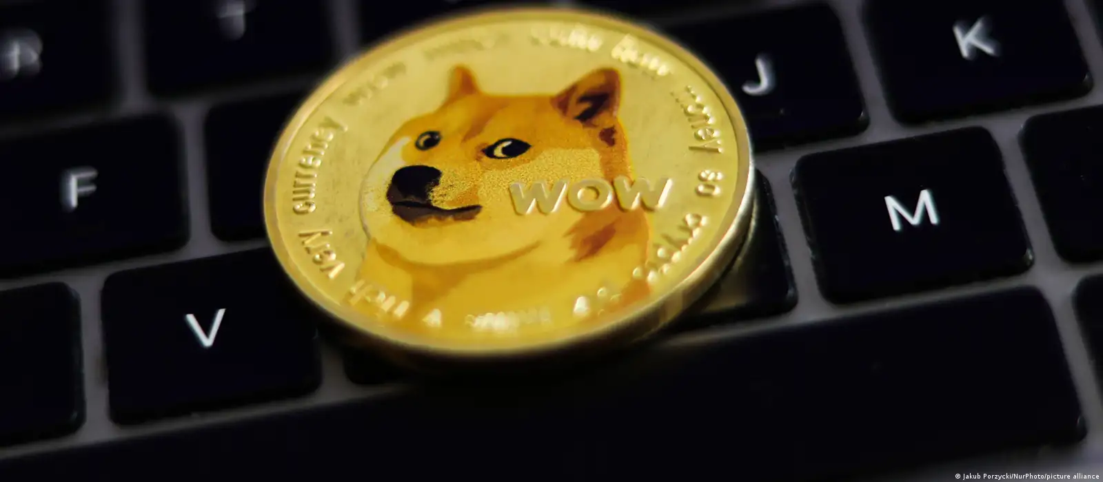 Kabosu, the Shiba Inu who became the face of Dogecoin, dies