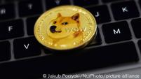 Kabosu, the Shiba Inu who became the face of Dogecoin, dies – DW – 05 ...