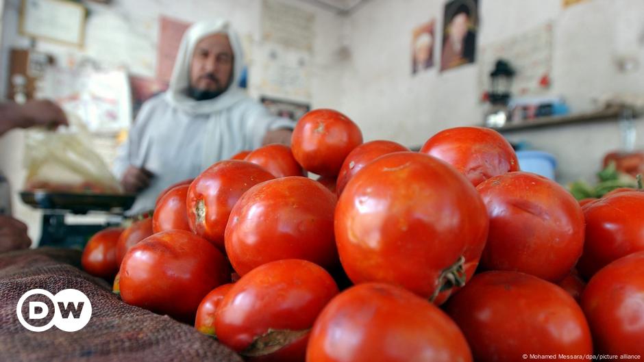 ‘Heatflation’ in Middle East How high will food prices go? DW 06