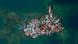 La población de Carti Sugtupu, la pequeña isla caribeña, fue desplazada a tierra firme en Panamá. (junio 2024) La población de Carti Sugtupu, la pequeña isla caribeña, fue desplazada a tierra firme en Panamá. (junio 2024)