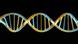 AlphaGenome ya fue probado por 3.000 científicos de 160 países y está disponible en código abierto para investigación. AlphaGenome ya fue probado por 3.000 científicos de 160 países y está disponible en código abierto para investigación.