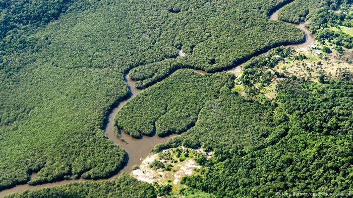 O que está por trás das disputas em projetos de créditos de carbono na Amazônia