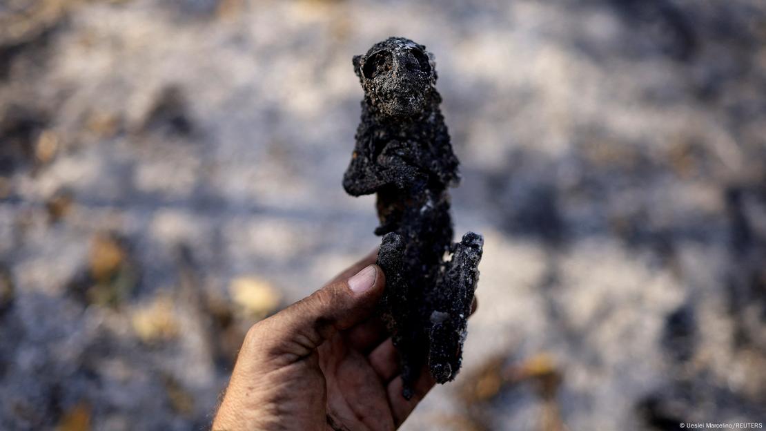 Homem segura corpo carbonizado de macaco