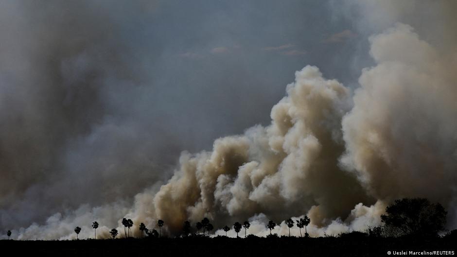 Climate change increases wildfire risk in Brazil DW 06/18/2024