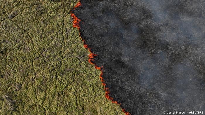 Segundo dados do início de junho, área afetada por queimadas no Pantanal é 700% maior do que no mesmo período de 2020