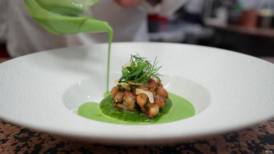 Froschschenkel – Delikatesse oder Tierquälerei? – DW – 18.06.2024