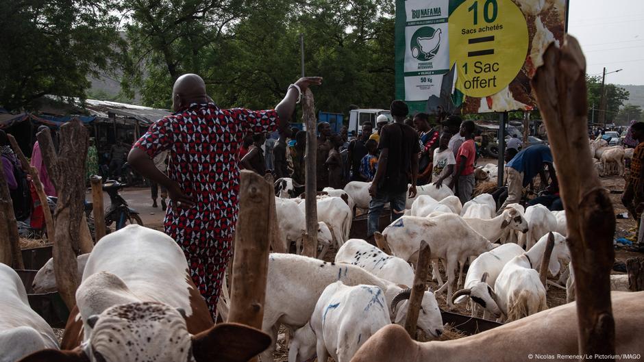 Envolée des prix au Mali avant la Tabaski – DW – 14/06/2024