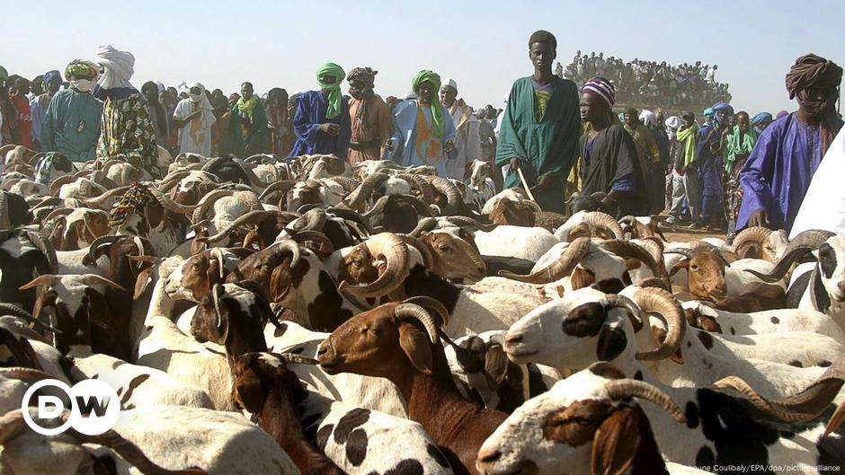 Fermeture de sept marchés à bétail de Bamako au Mali