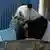 Wang Wang the panda is seen during China's Premier Li Qiang's visit to the Adelaide Zoo in Adelaide 