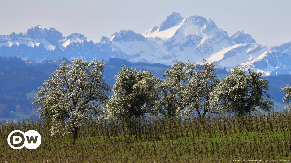 Natur und Umwelt: Was Bäume für Menschen und Klima tun