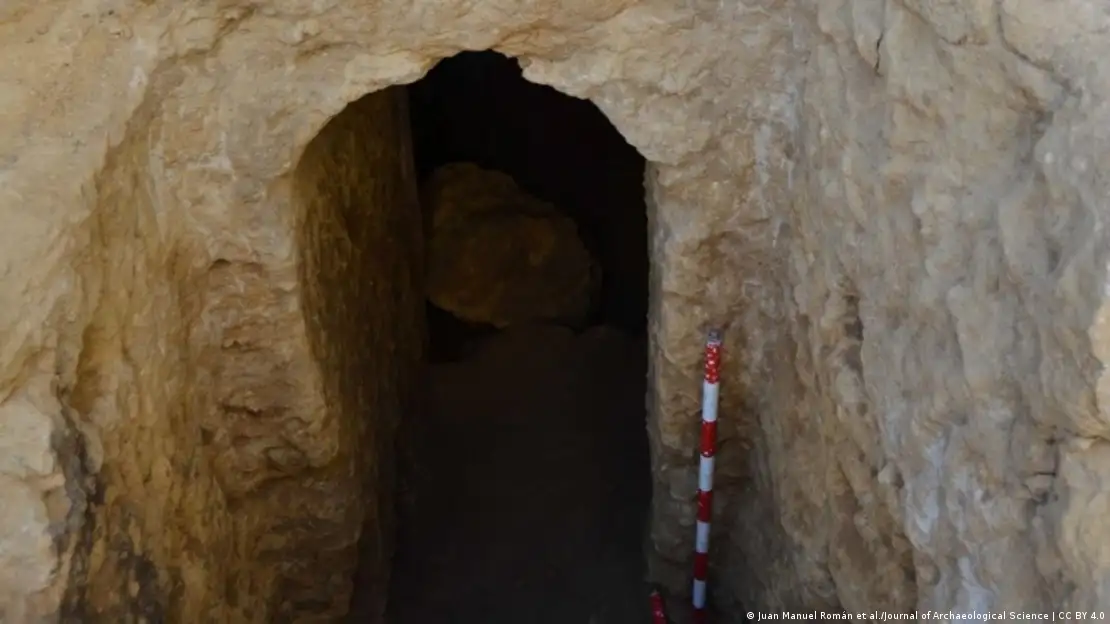 Descubren en España el vino más antiguo del mundo – DW – 19/06/2024