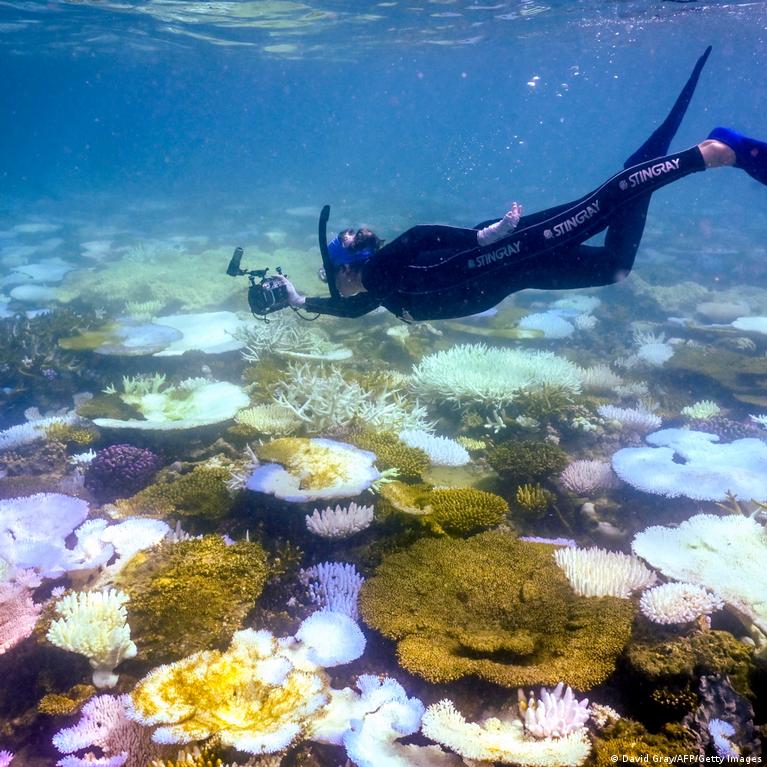 Australia’s Great Barrier Reef again avoids ‘in danger’ label