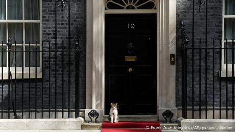 Μ. Βρετανία: Λάρι, ο μόνιμος κάτοικος της Downing Street