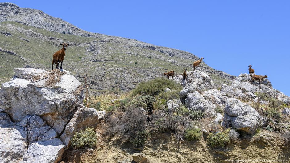 Stern: Πιέσεις στον Μητσοτάκη λόγω ΟΠΕΚΕΠΕ