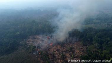 Brazil's Amazon Sees Worst 6 Months Of Wildfires In 20 Years – DW – 07 ...