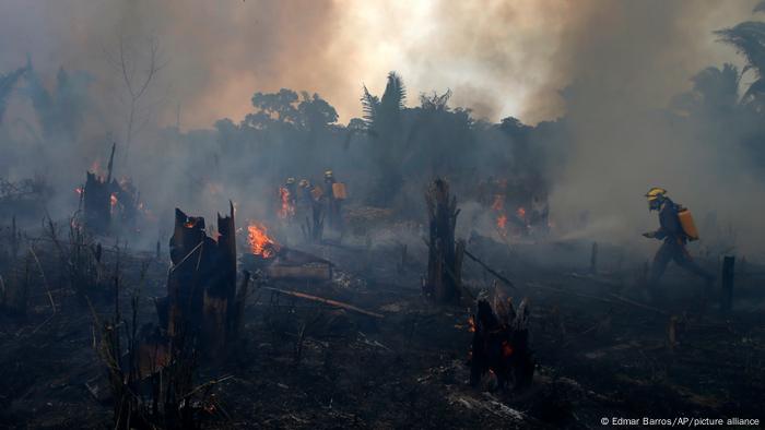 Como é possível financiar a proteção da Amazônia?