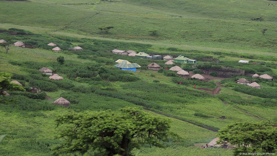 Naselje Masai u Ngorongoro rezervatu