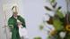 Pope Francis holds a mass in the Italian city of Trieste on July 7, 2024 Pope Francis holds a mass in the Italian city of Trieste on July 7, 2024
