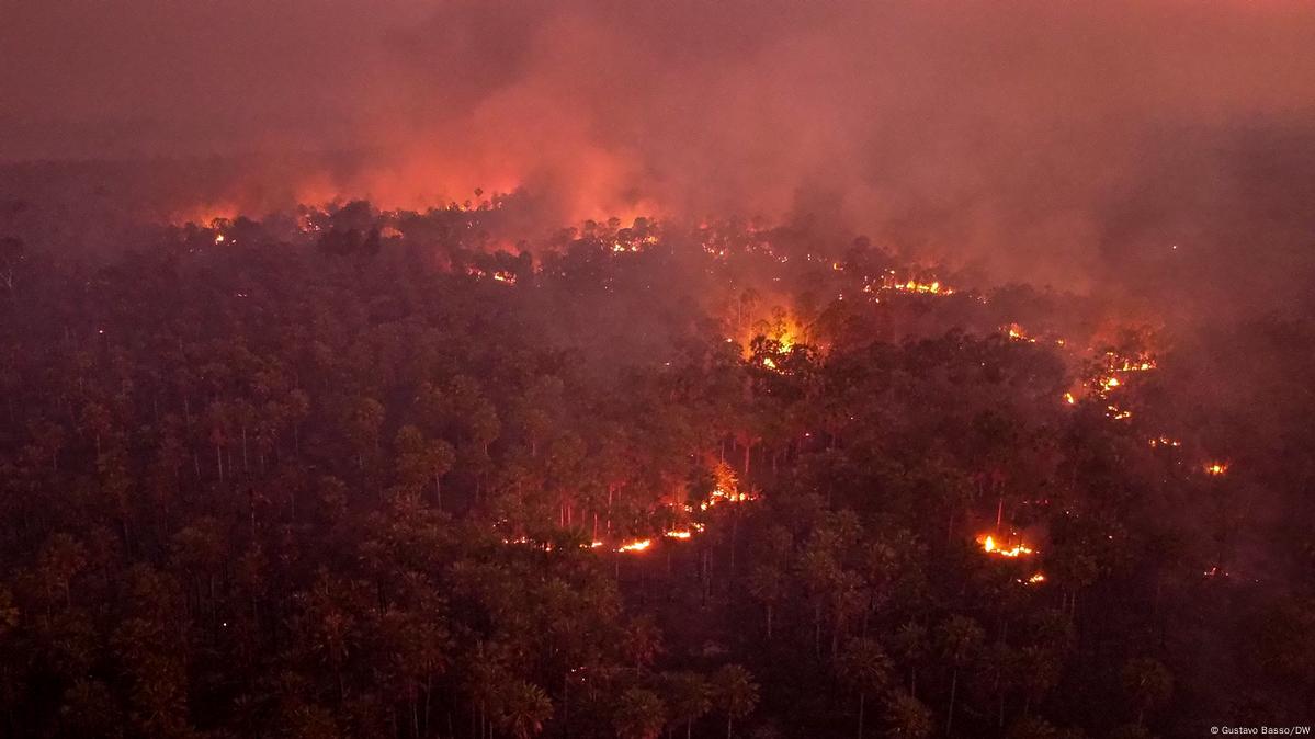 Região de mata nativa em chamas no Pantanal