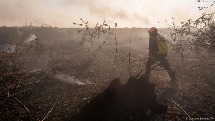 Efeitos dos incêndios florestais no Brasil também são sentidos em partes da Argentina e Paraguai