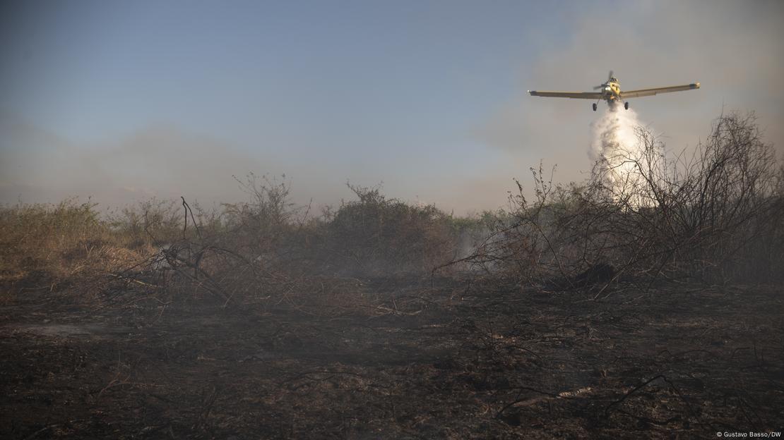 Área de pantanal em chamas é molhada por avião