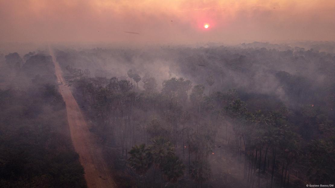 Fumaça em meio à paisagem pantaneira