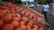 Foto de tomates en un agro-mercado gubernamental de El Salvador. Foto de tomates en un agro-mercado gubernamental de El Salvador.