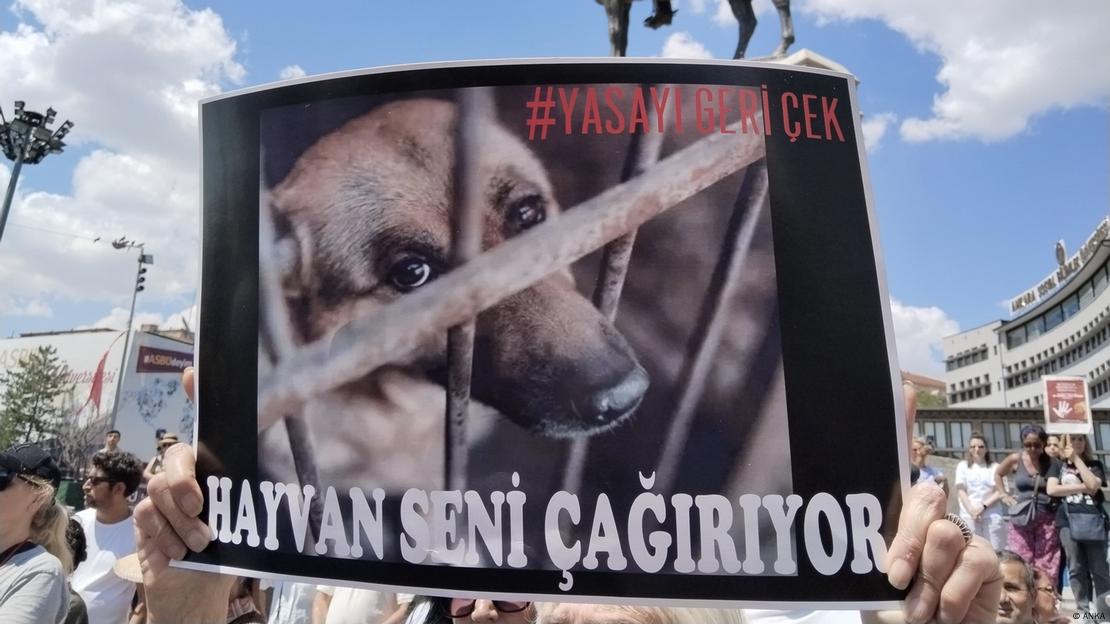 "Este animal te llama", dice la pancarta de defensores de los perros callejeros en Turquía, que piden dejar sin efecto la propuesta de ley