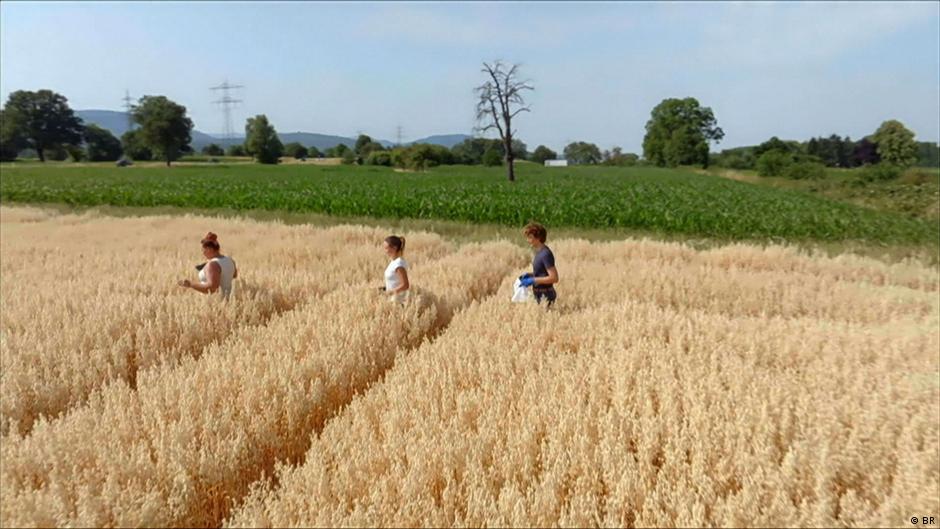 Getreide-aus-EU-L-ndern-stark-mit-Chemikalie-belastet